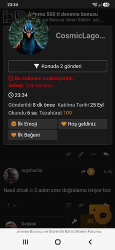 Screenshot_20261019_233428_Yandex Browser